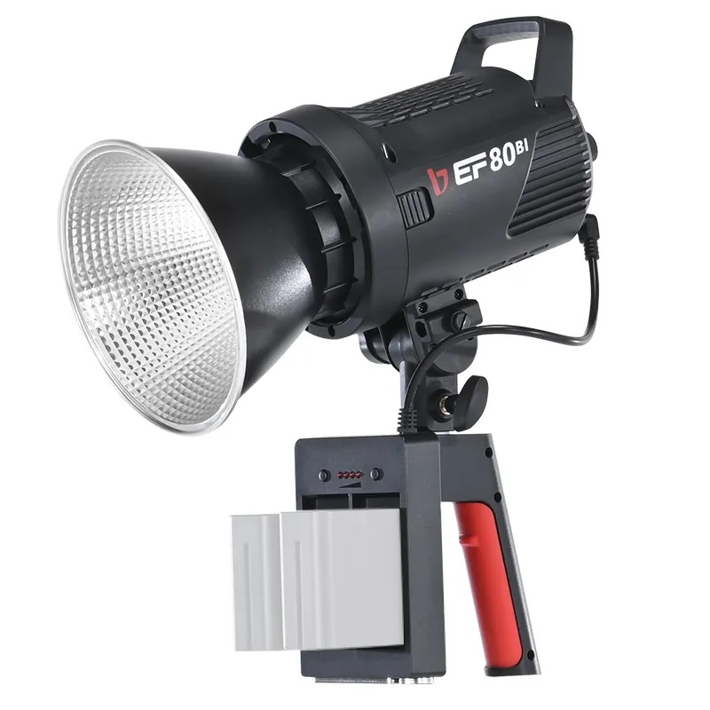 Jinbei EF-80 LED Video KiT 5500K 