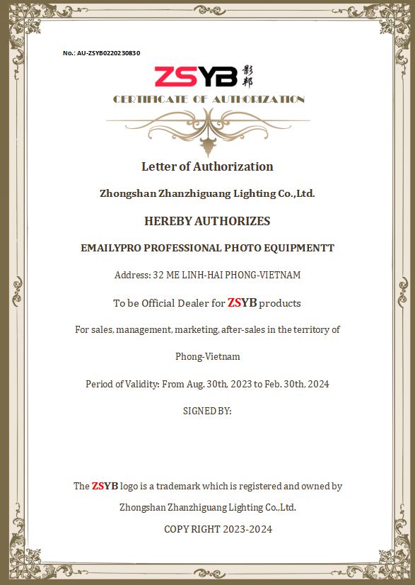 LED ZSYB RA MẮT THỊ TRƯỜNG VIETNAM CÓ GÌ MỚI ?