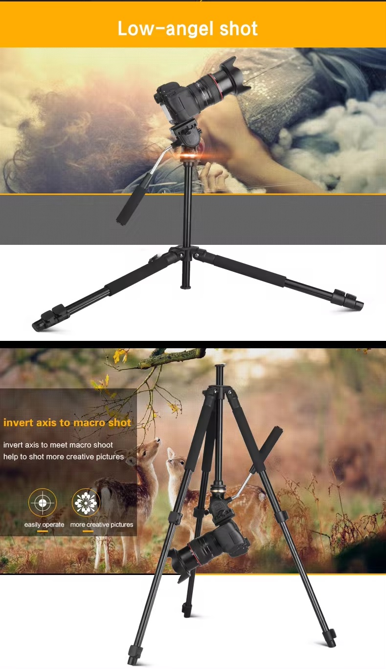 Chân Máy Ảnh Tripod Beike Q-310