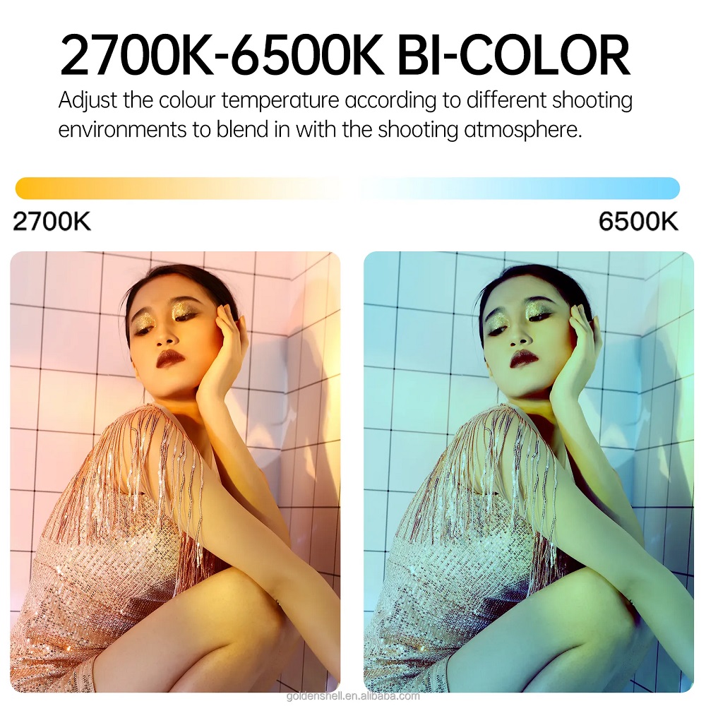 Jinbei EF-60Bi 2700-6500K led trợ sáng cầm tay 