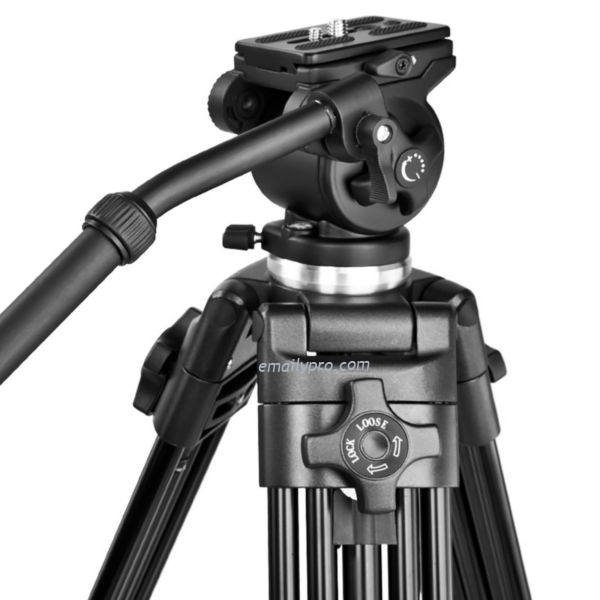 WEIFENG 717 -159cm