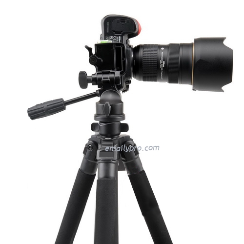 Chân máy ảnh Tripod Weifeng WF-6663A Chính hãng