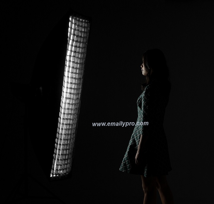 SOFTBOX AMBITFUL GRID