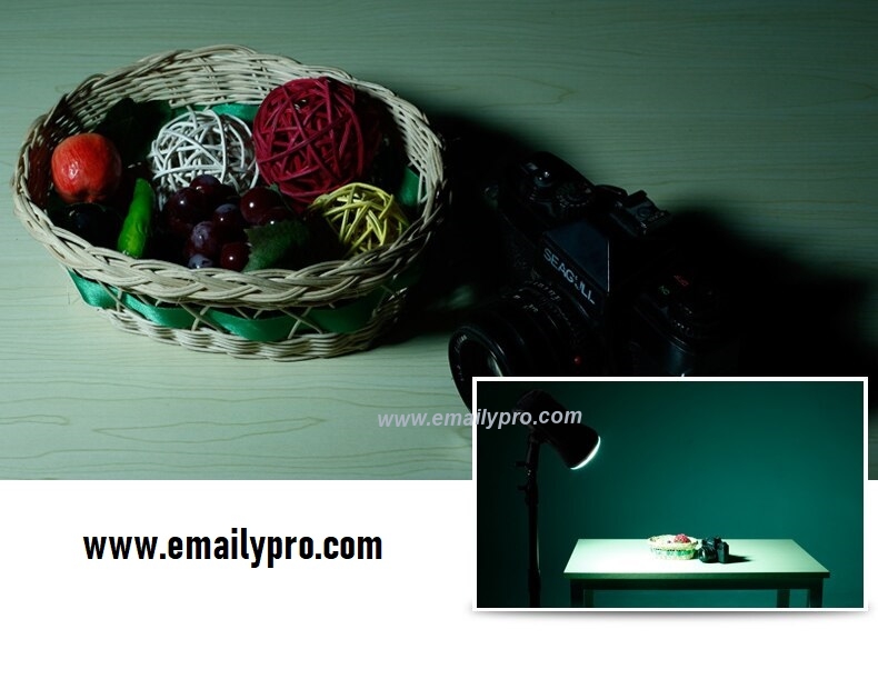 NiceFoto SN-25-emailypro (9)