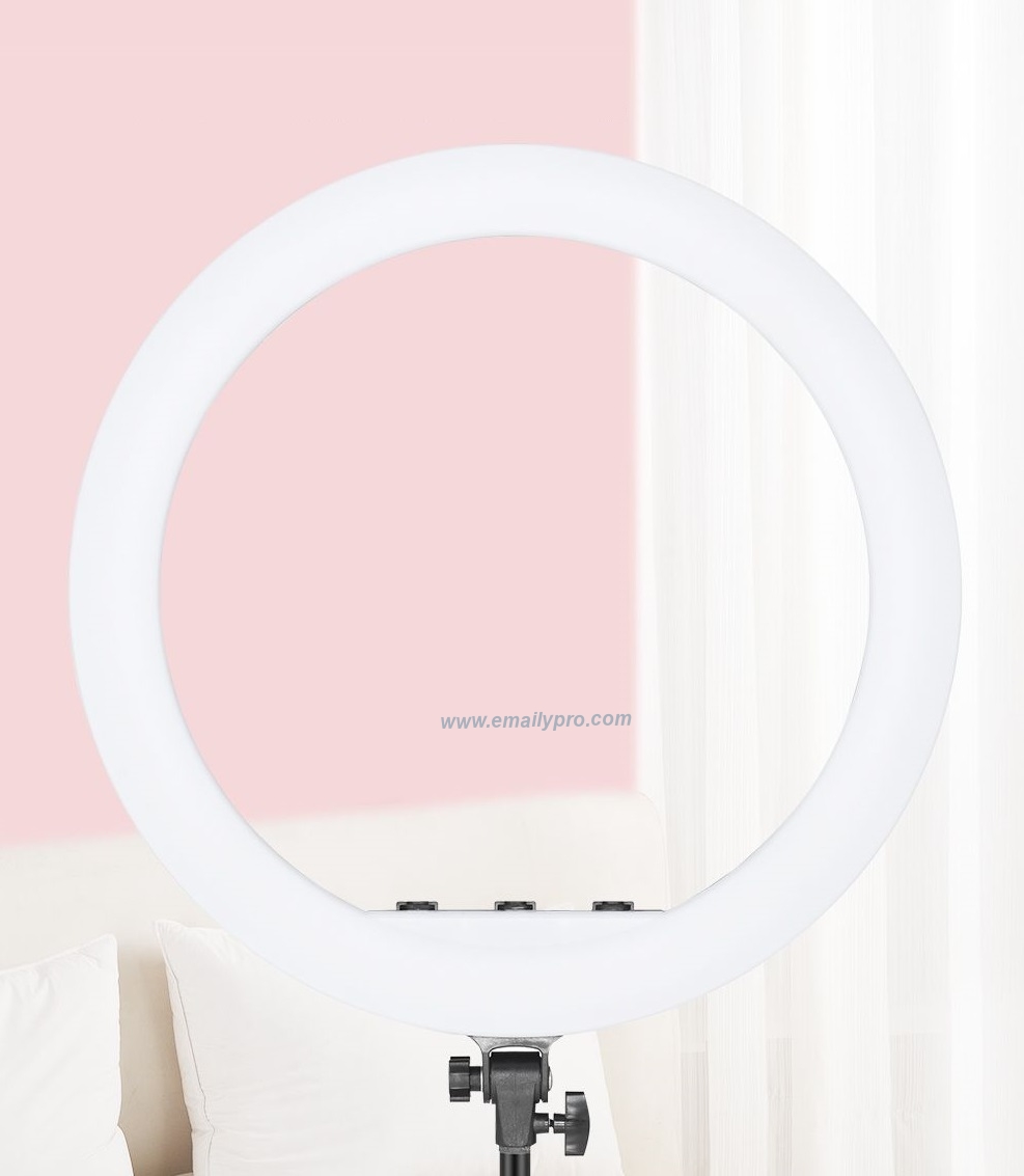 Đèn LED RING RL-18 AMBITFUL LIVESTREAM