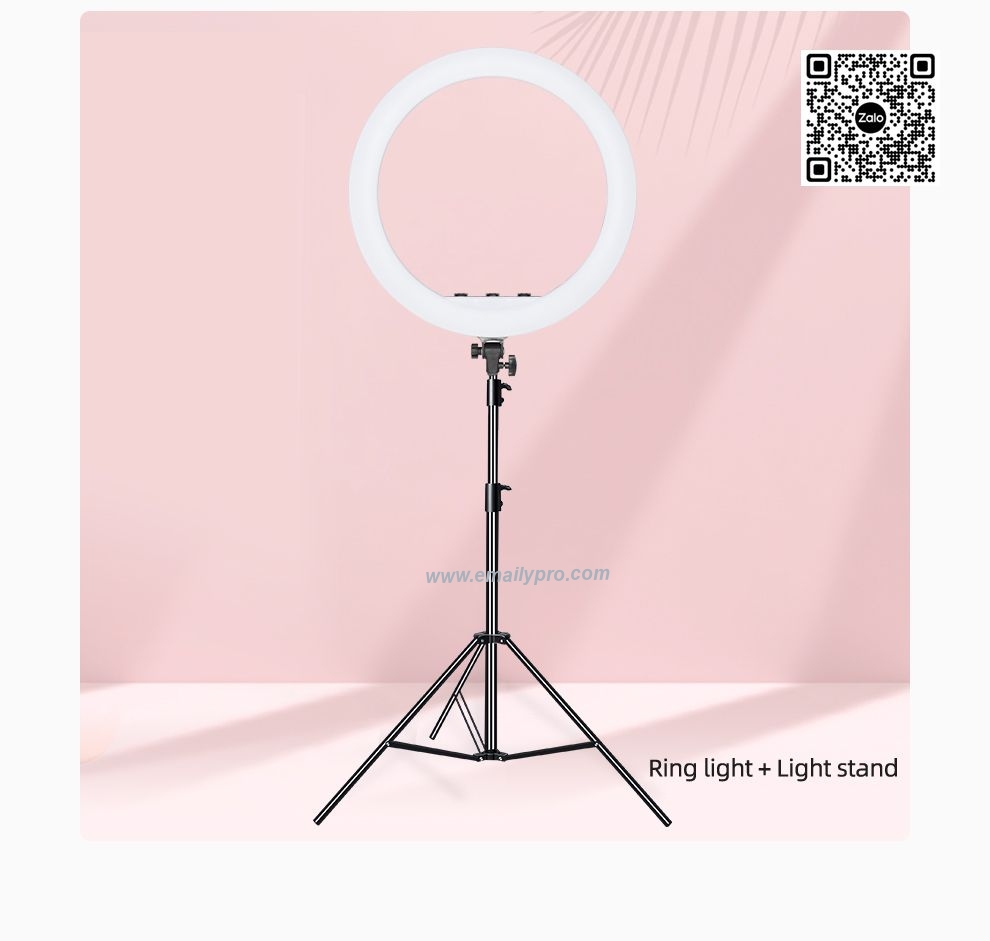 Đèn LED RING RL-18 AMBITFUL LIVESTREAM