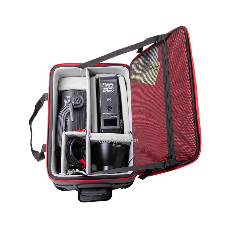 Đèn Aputure LS 600d Standard-5600K