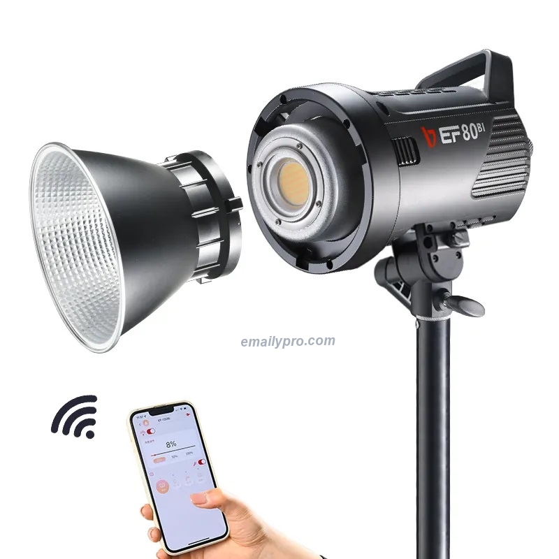 JINBEI EF-80Bi AC/DC 2700k~6500k