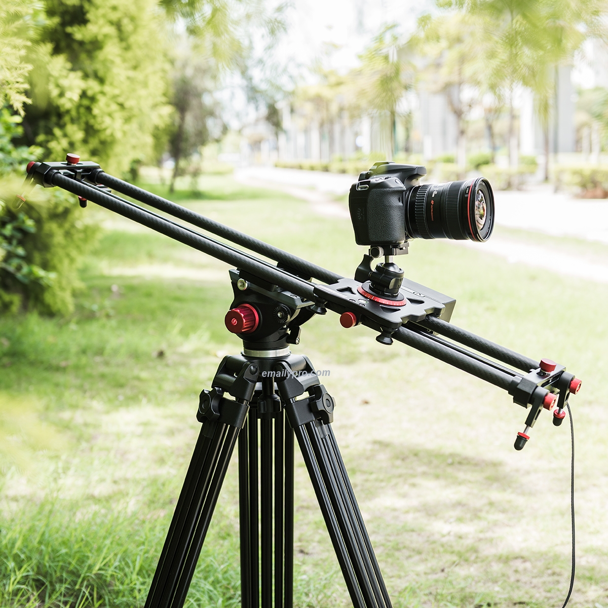 SLIDER Carbon 80Cm MAGICLINE EF-EF-L80RC