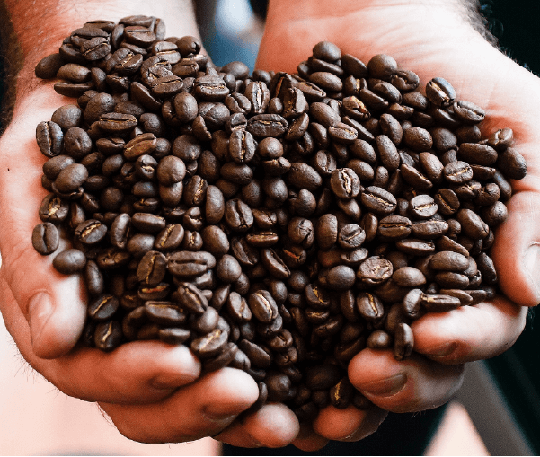 Những sản phẩm độc lạ làm từ hạt cà phê Việt: Loại dùng trên bàn ăn, loại dùng trong… phòng tắm