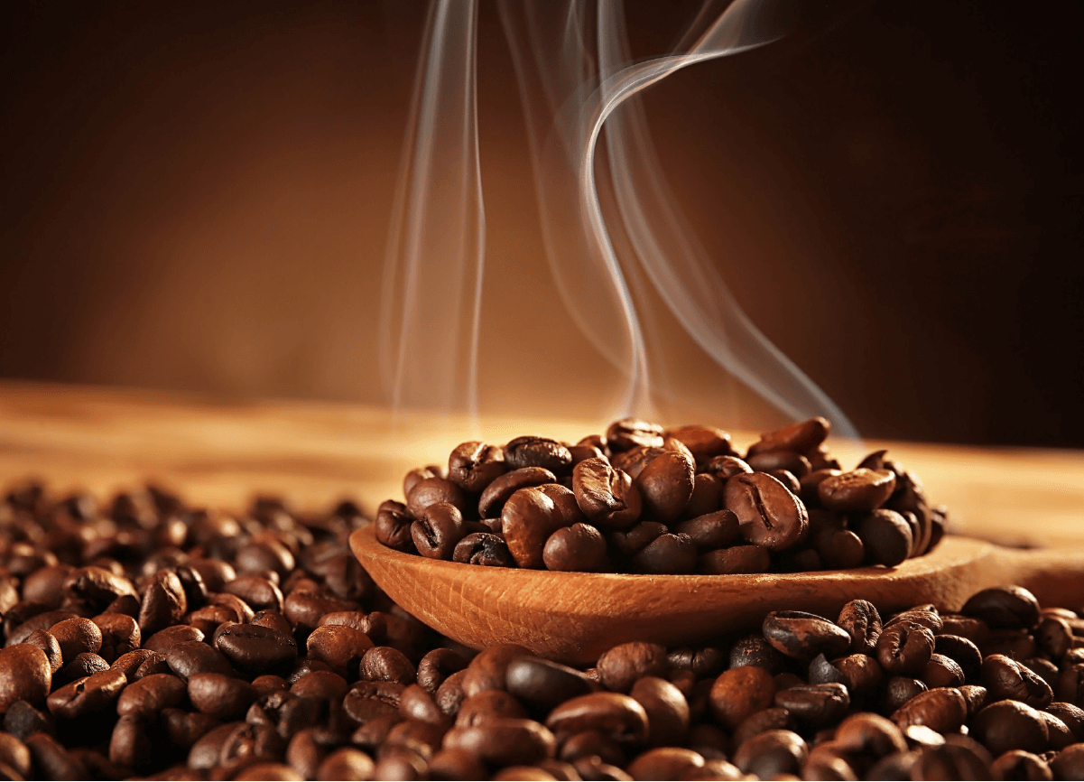 Mùa thu hoạch cà phê Kom Tum