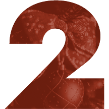 Thưởng thức các loại bánh tráng miệng