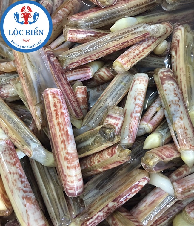 ốc móng tay tại Lộc Biển