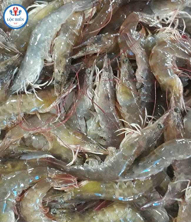 tôm thẻ tươi sống