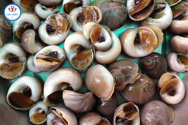 Cách chọn ốc mỡ xào me ngon