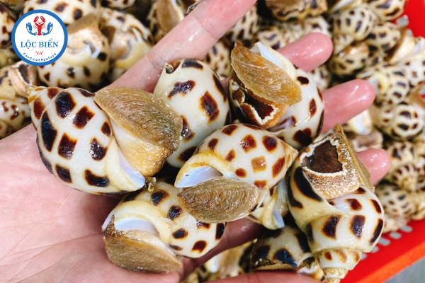 mẹo chọn ốc để làm ốc hương xào me