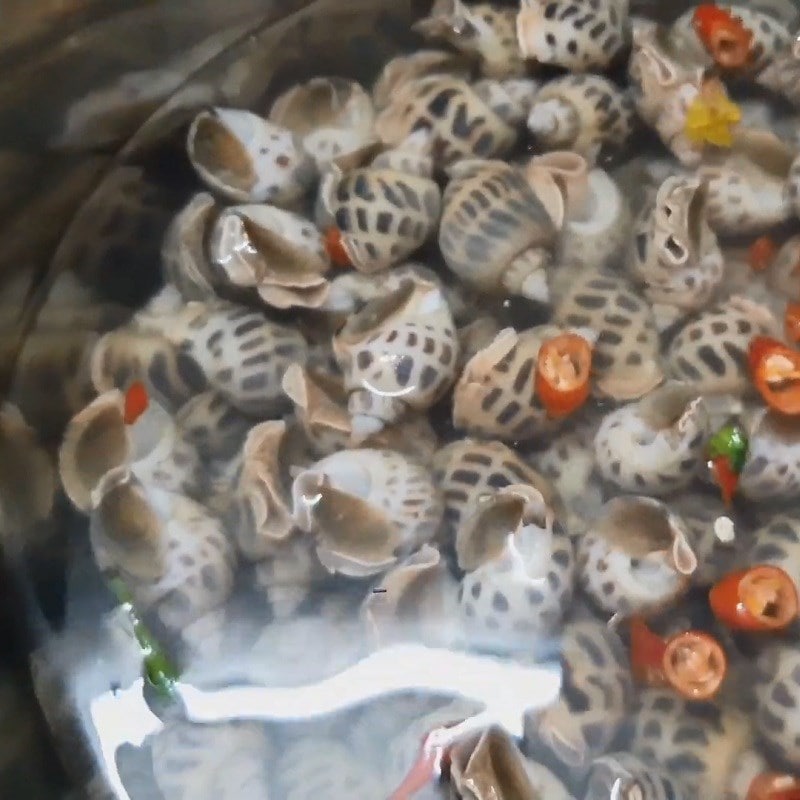 sơ chế ốc hương