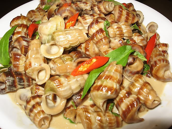 cách làm ốc len xào sả ớt thơm ngon