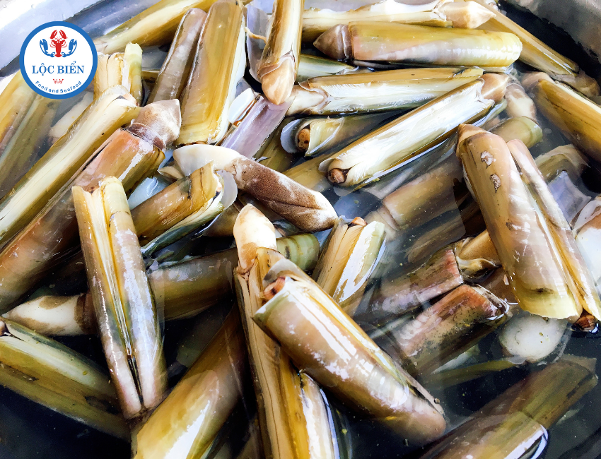 Ốc móng tay tươi sống