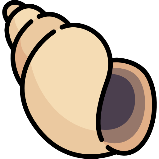 Ngao, Sò, Ốc