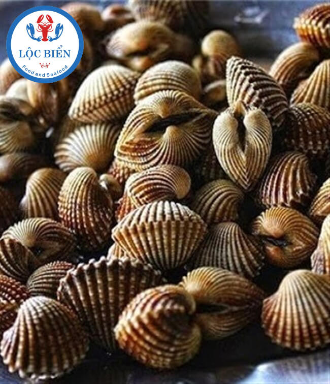 sò huyết tươi sống