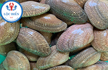 Video Ngao Hoa Vàng Tươi Sống