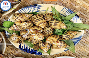 Video Ốc Hương Biển