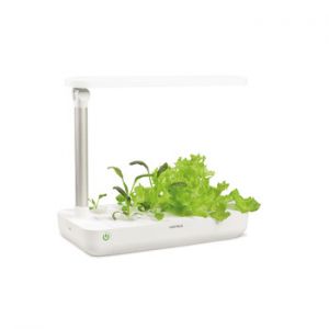 Hộp trồng cây EasyGrow Table Box (T-Box)