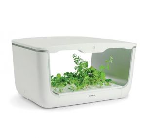 Hộp trồng cây EasyGrow Home Box (H-box)