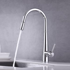 Vòi bếp, Tay gạt đơn, đầu vòi rửa có thể kéo dài