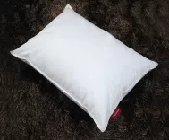 Ruột gối Everon MS03