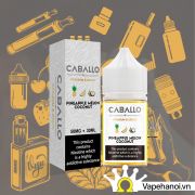 Tinh Dầu Saltnic Caballo Dứa Dừa Dưa Gang 30ml 38-58 mg Chính Hãng