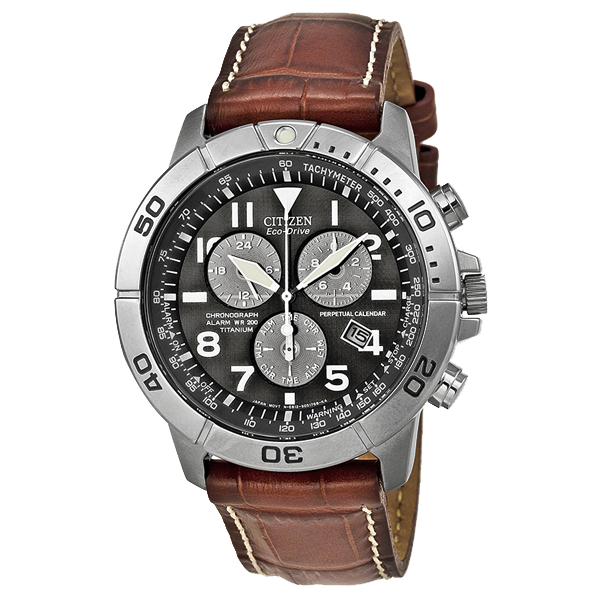 Eco-Drive Perpetual Calendar Chronograph Men's Watch