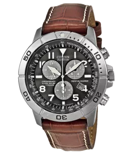 Eco-Drive Perpetual Calendar Chronograph Men's Watch