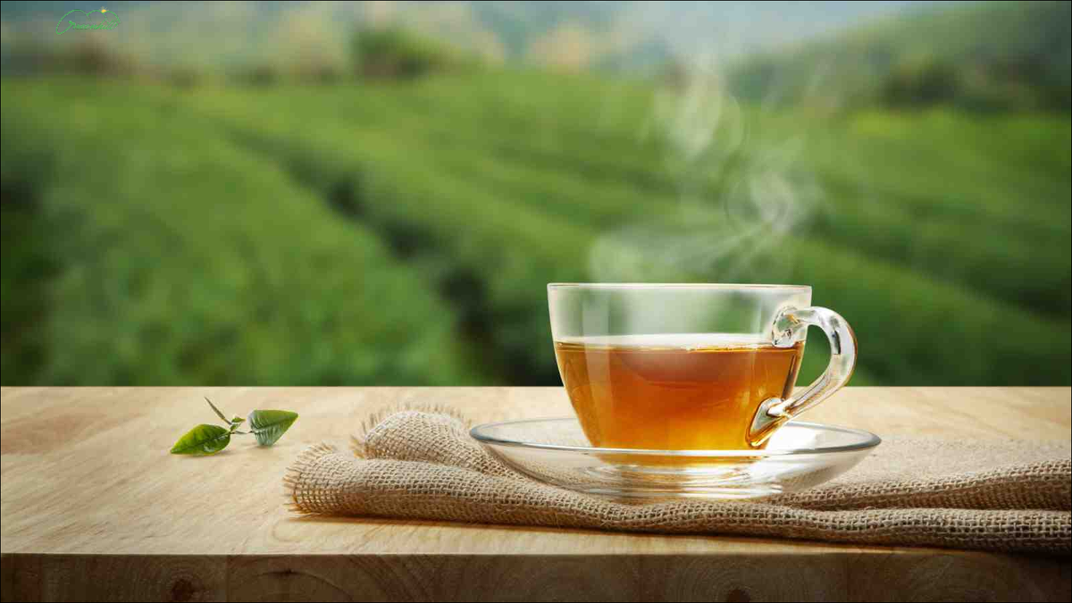Uống trà có thể cải thiện sức khỏe của bạn