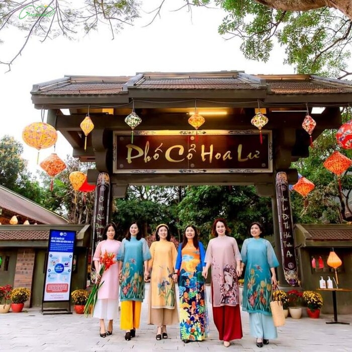 MANG TRÀ HILLSWE VỀ NHÀ, TỪ PHỐ CỔ HOA LƯ, NINH BÌNH