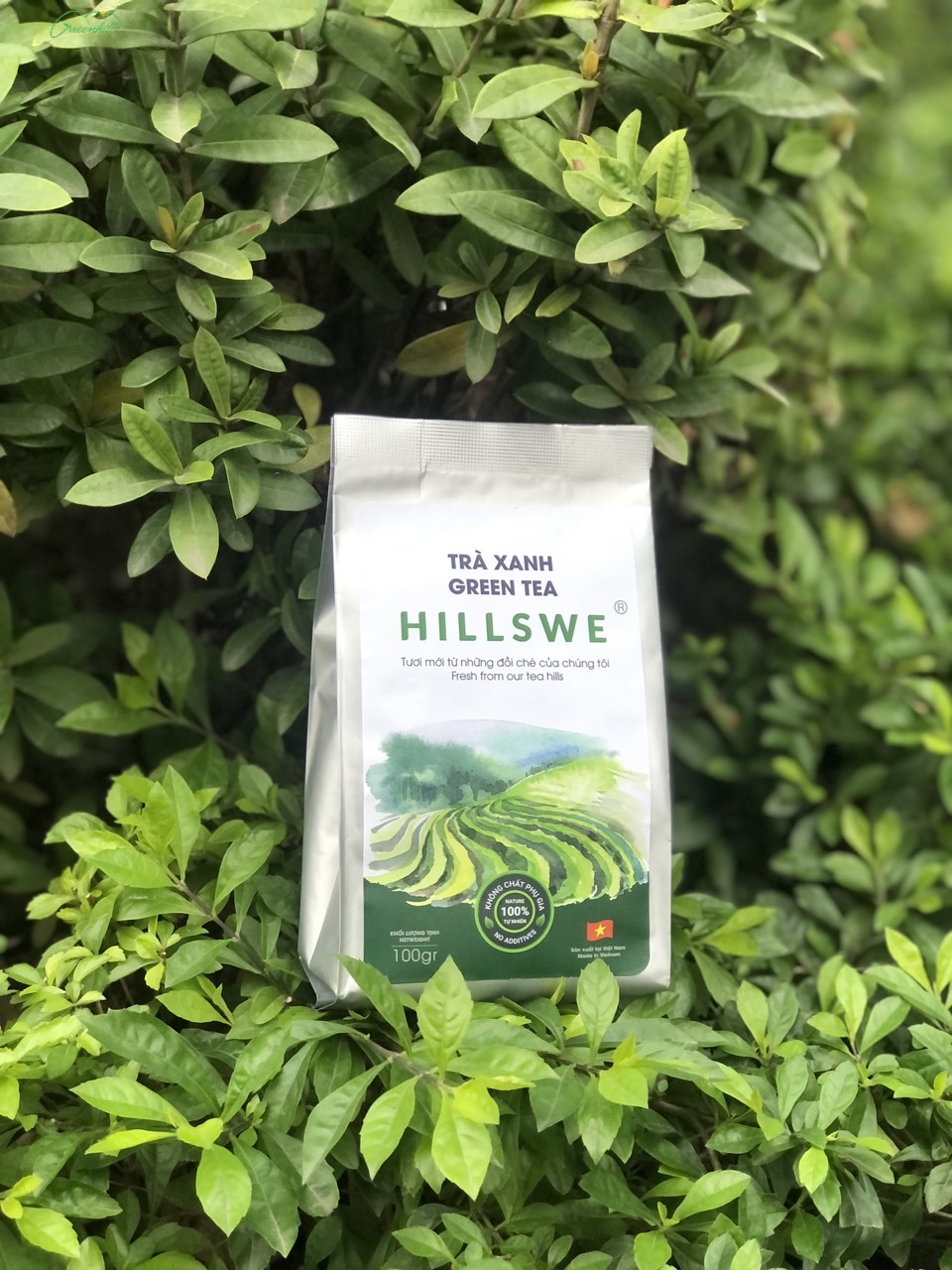 TRÀ GÓI HILLSWE - CUỐI TUẦN SẢNG KHOÁI