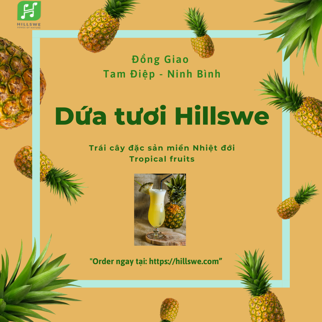 DỨA TƯƠI HILLSWE – SẢN PHẨM CỦA THÁNG 5 RỰC RỠ