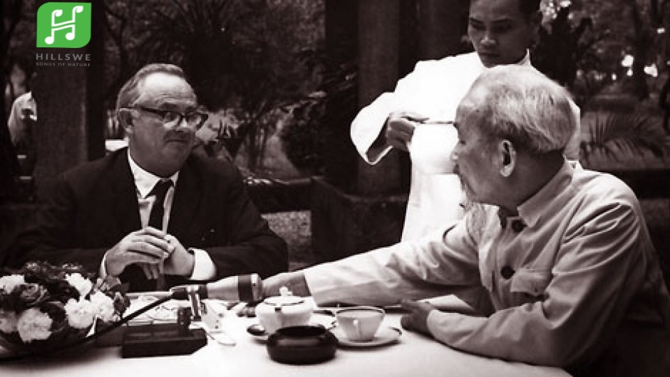 HILLSWE TEA - MỪNG SINH NHẬT BÁC.