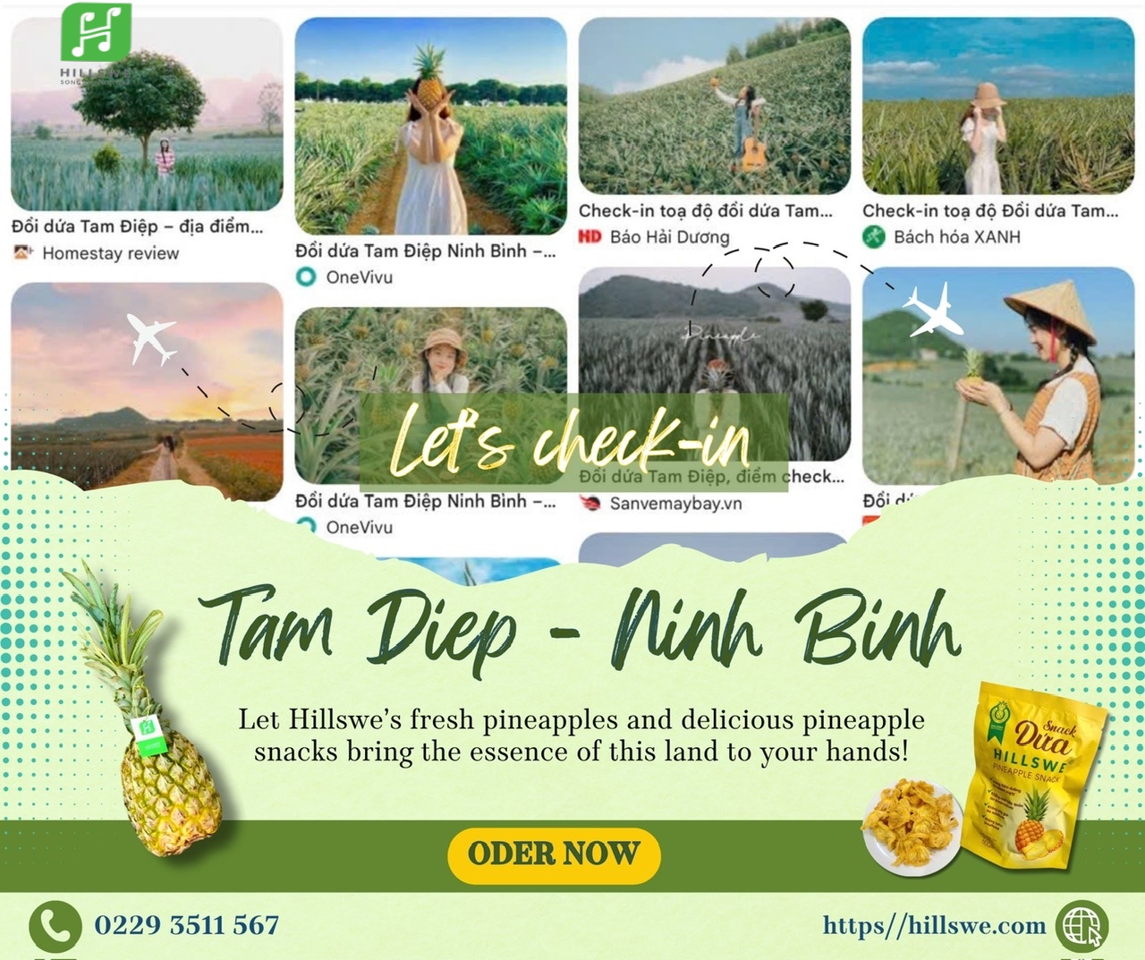 THÁNG 4 VỀ CÙNG HILLSWE CHECK-IN ĐỒI DỨA TAM ĐIỆP, NINH BÌNH