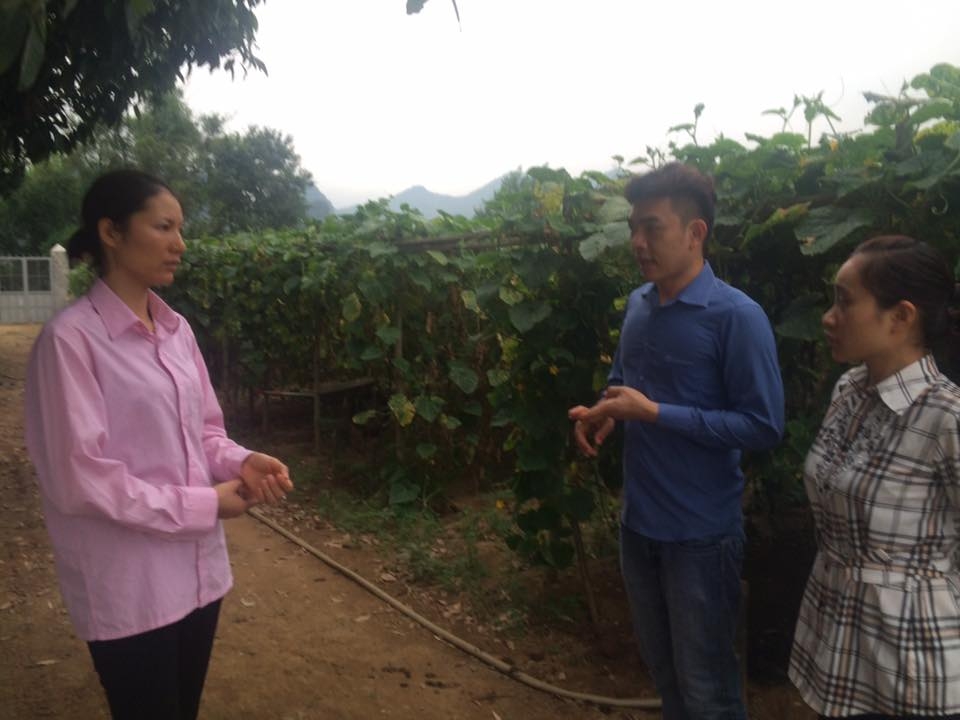 Samsung Galaxy Note 21