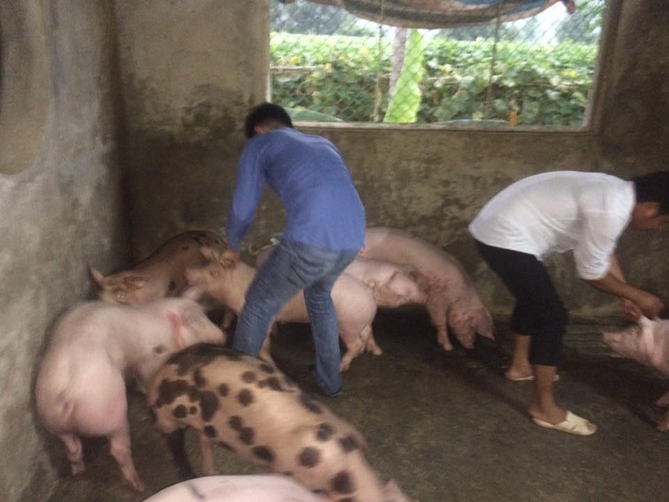 Samsung Galaxy Note 21