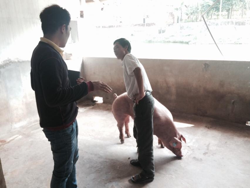 Samsung Galaxy Note 21