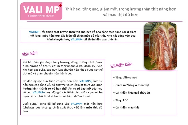 Samsung Galaxy Note 21