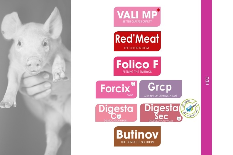 Samsung Galaxy Note 21