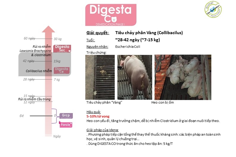 Samsung Galaxy Note 21