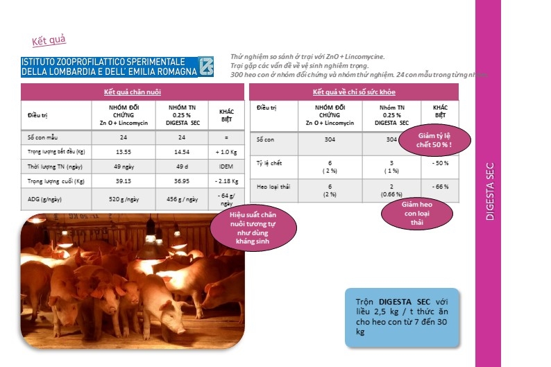 Samsung Galaxy Note 21