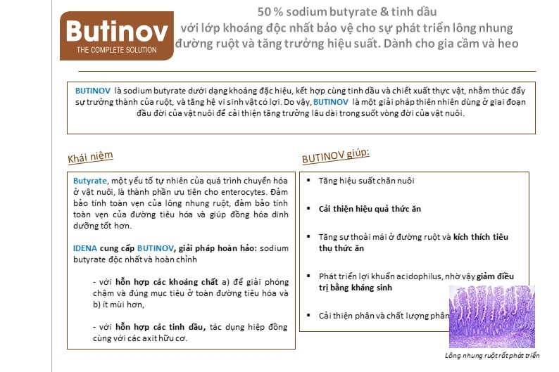 Samsung Galaxy Note 21