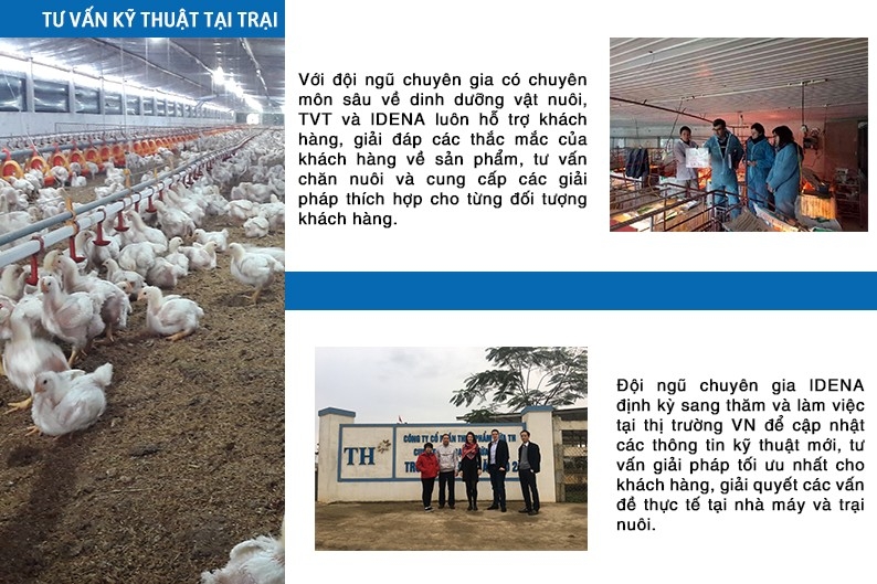 Samsung Galaxy Note 21