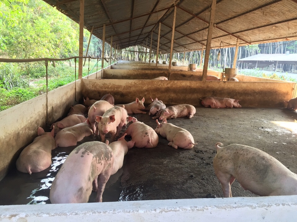 Kết quả thử nghiệm sản phẩm